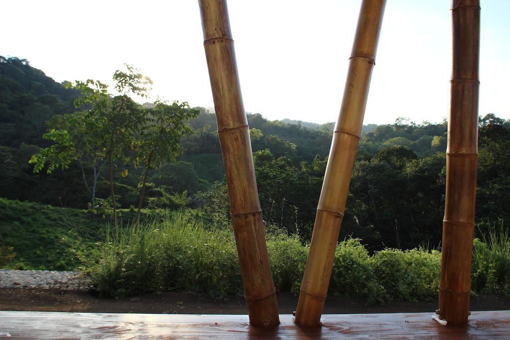 Eden Tica Lodge Uvita Bagian luar foto