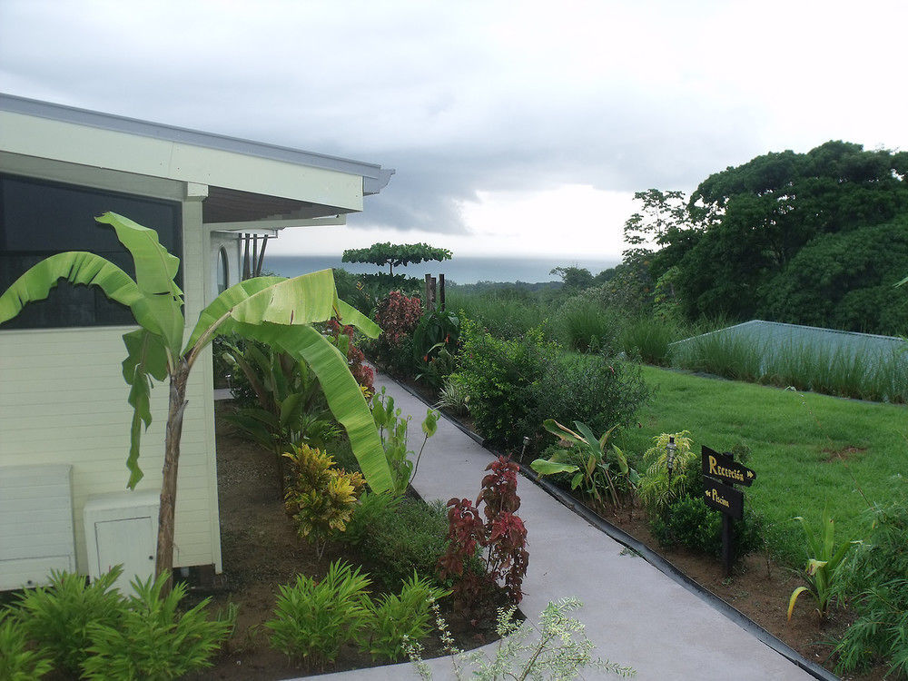 Eden Tica Lodge Uvita Bagian luar foto
