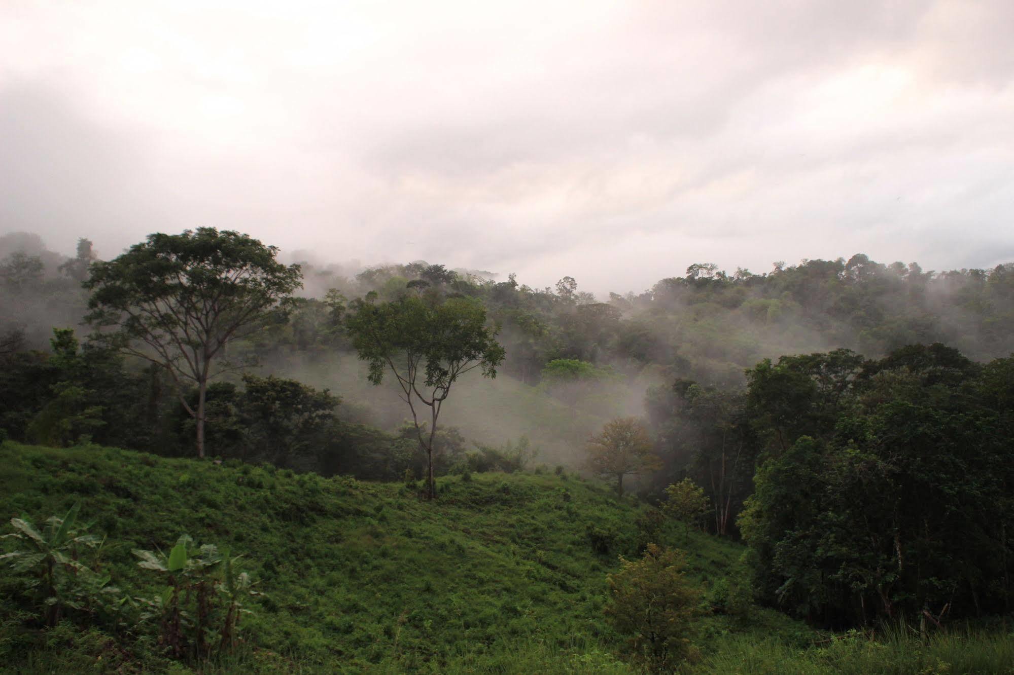 Eden Tica Lodge Uvita Bagian luar foto