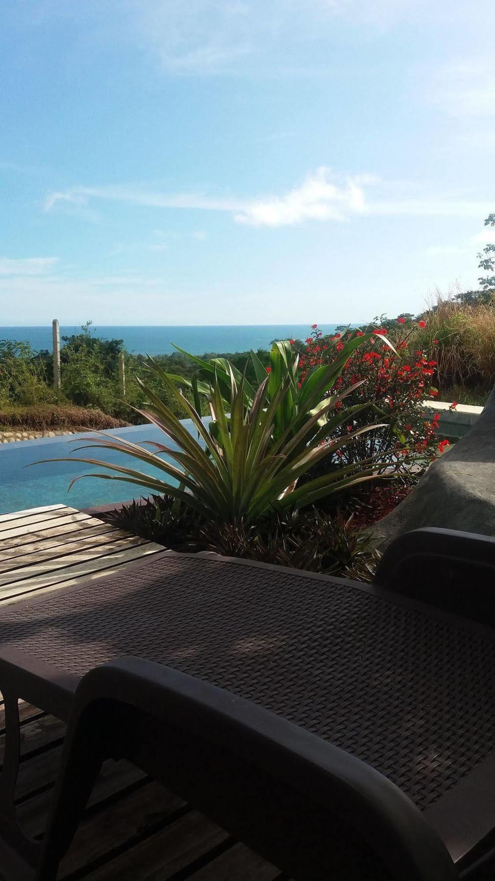 Eden Tica Lodge Uvita Bagian luar foto