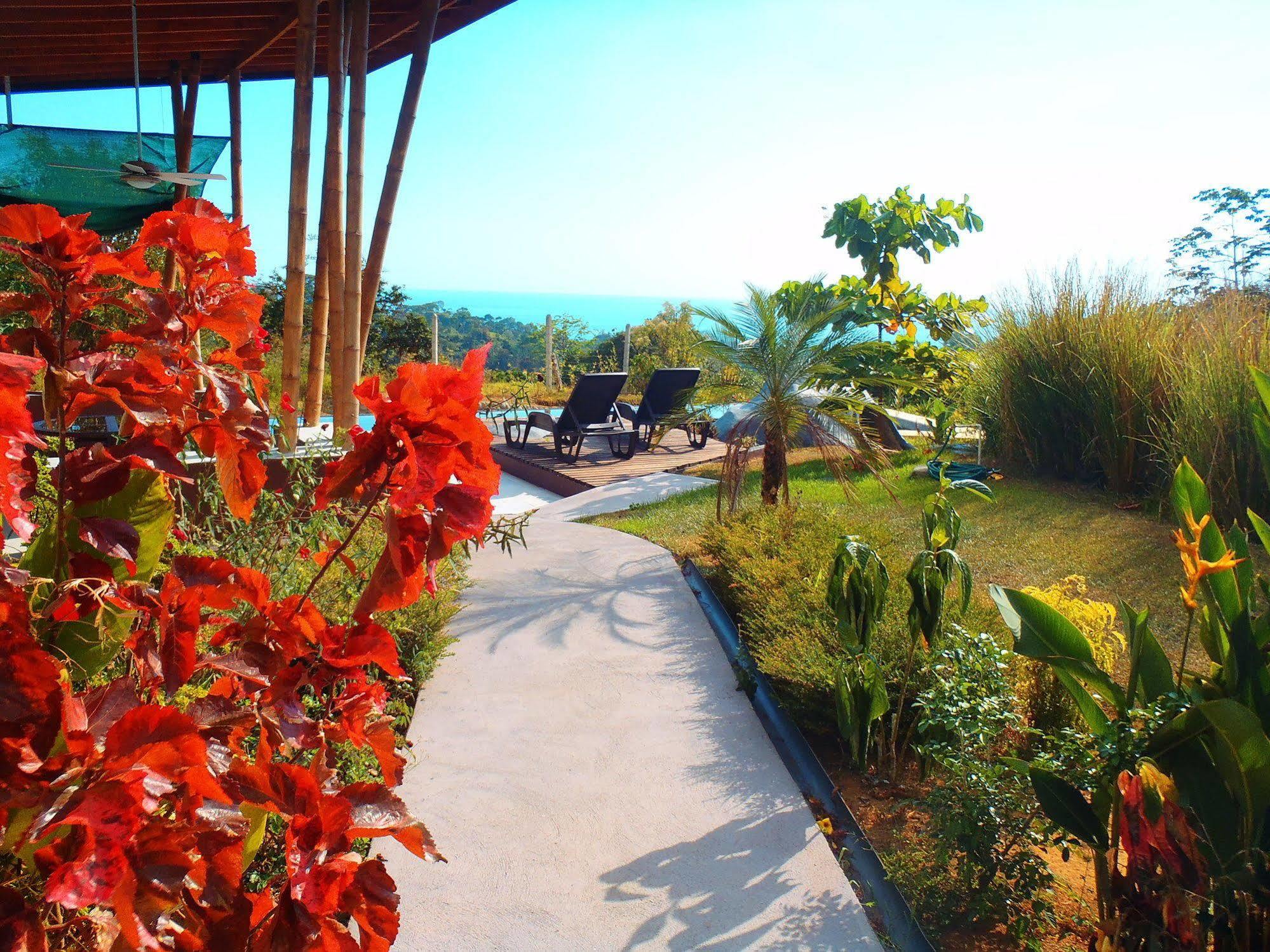 Eden Tica Lodge Uvita Bagian luar foto