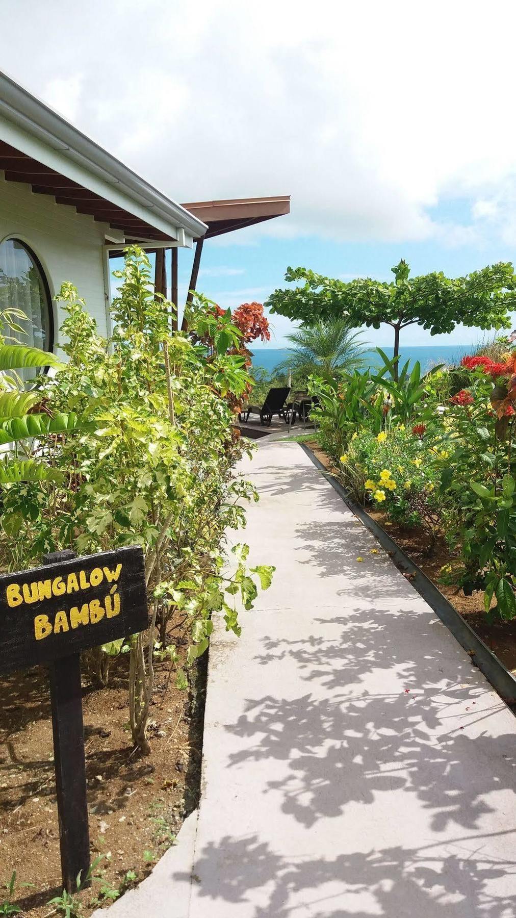 Eden Tica Lodge Uvita Bagian luar foto