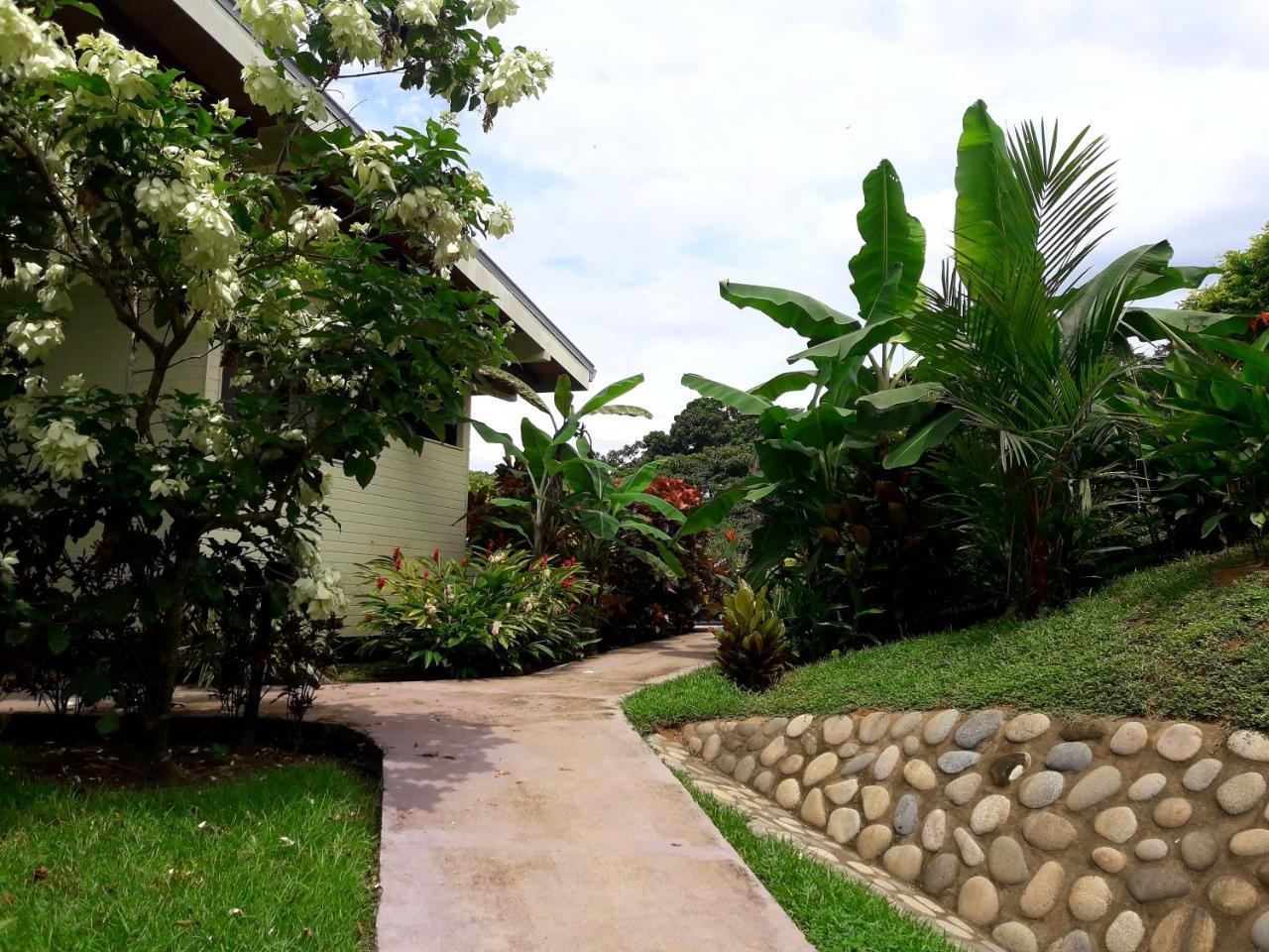 Eden Tica Lodge Uvita Bagian luar foto