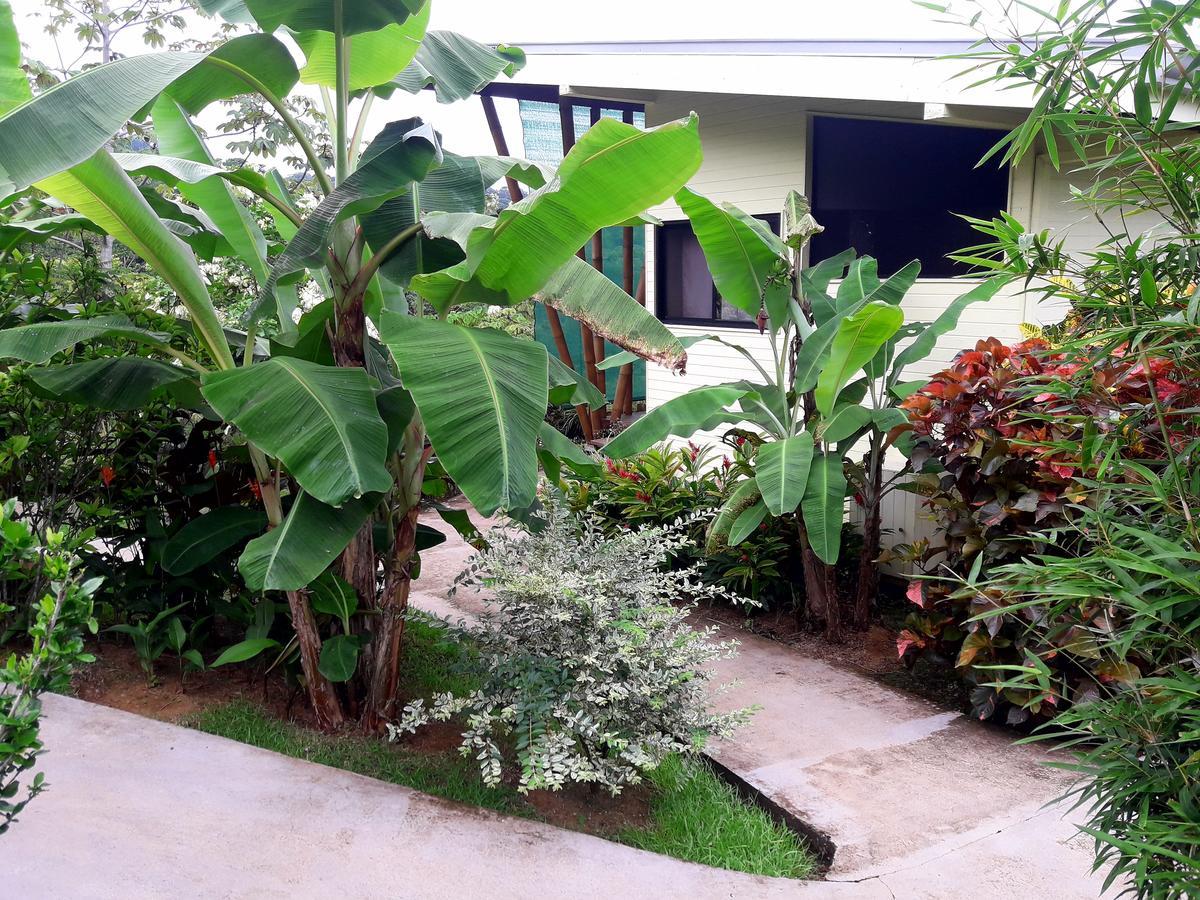 Eden Tica Lodge Uvita Bagian luar foto