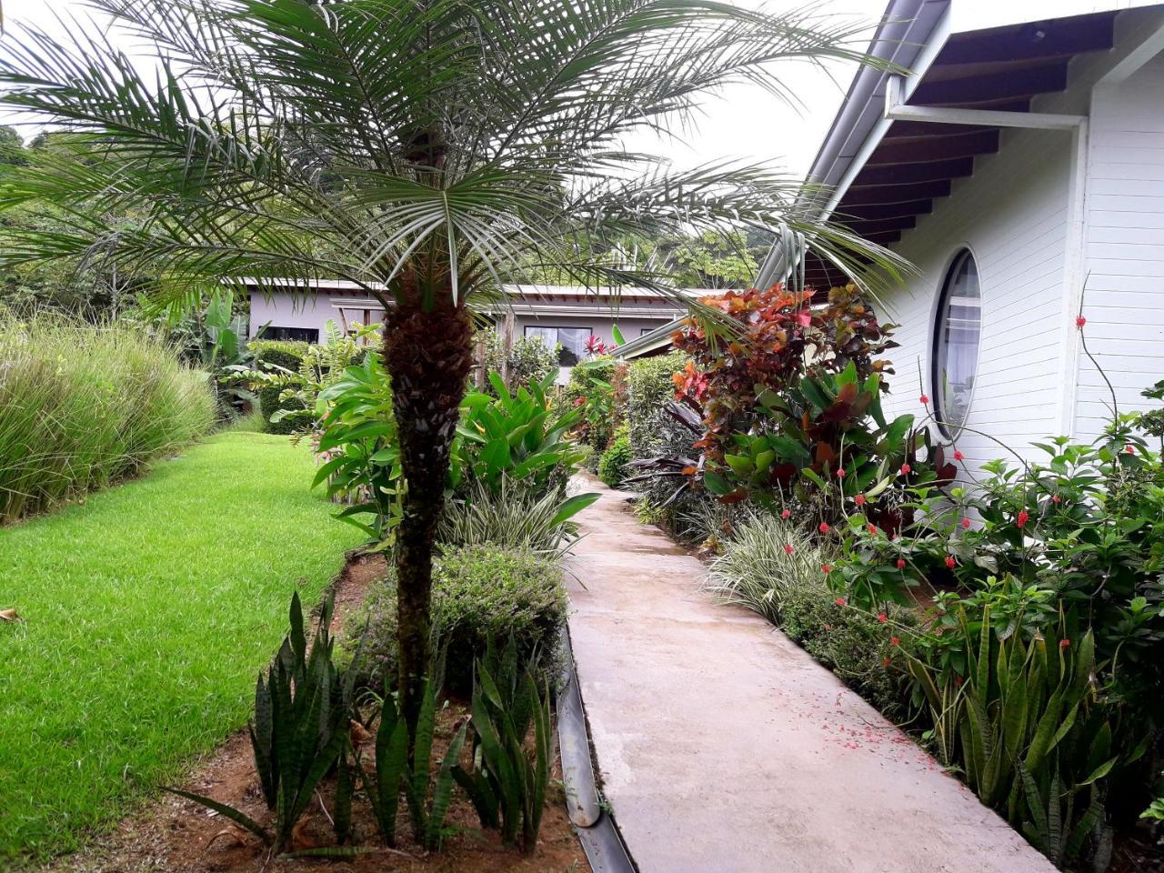 Eden Tica Lodge Uvita Bagian luar foto