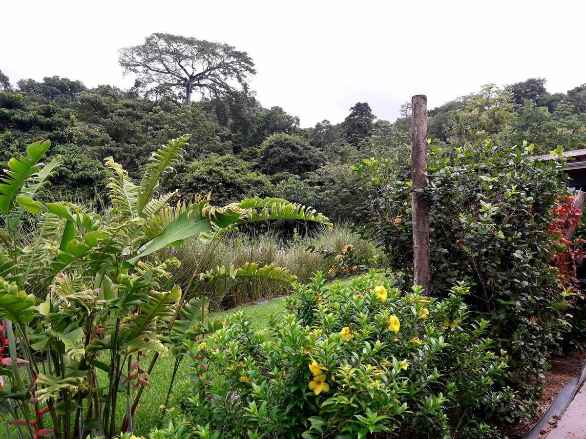 Eden Tica Lodge Uvita Bagian luar foto