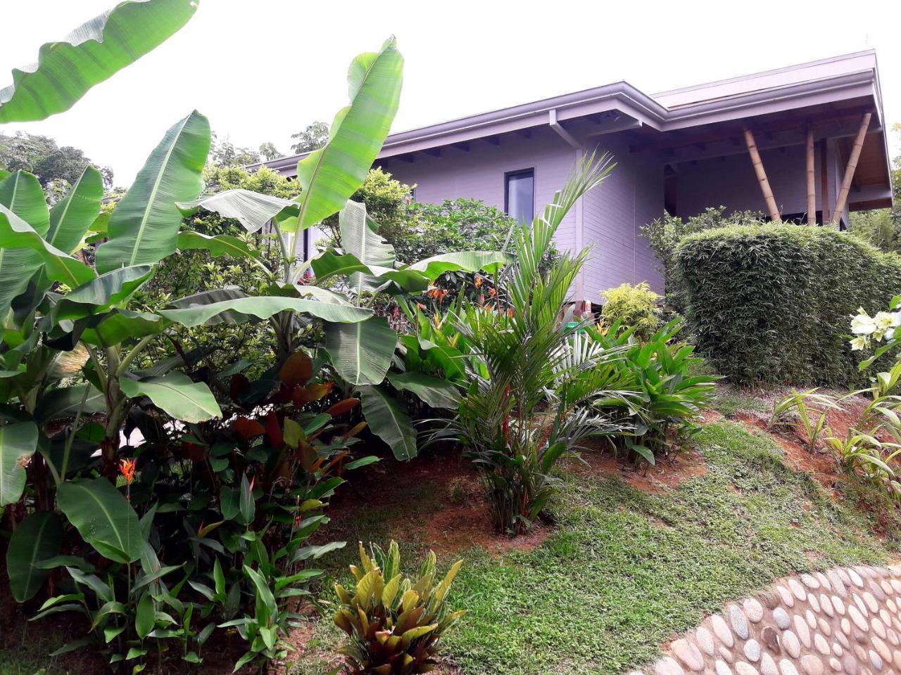 Eden Tica Lodge Uvita Bagian luar foto