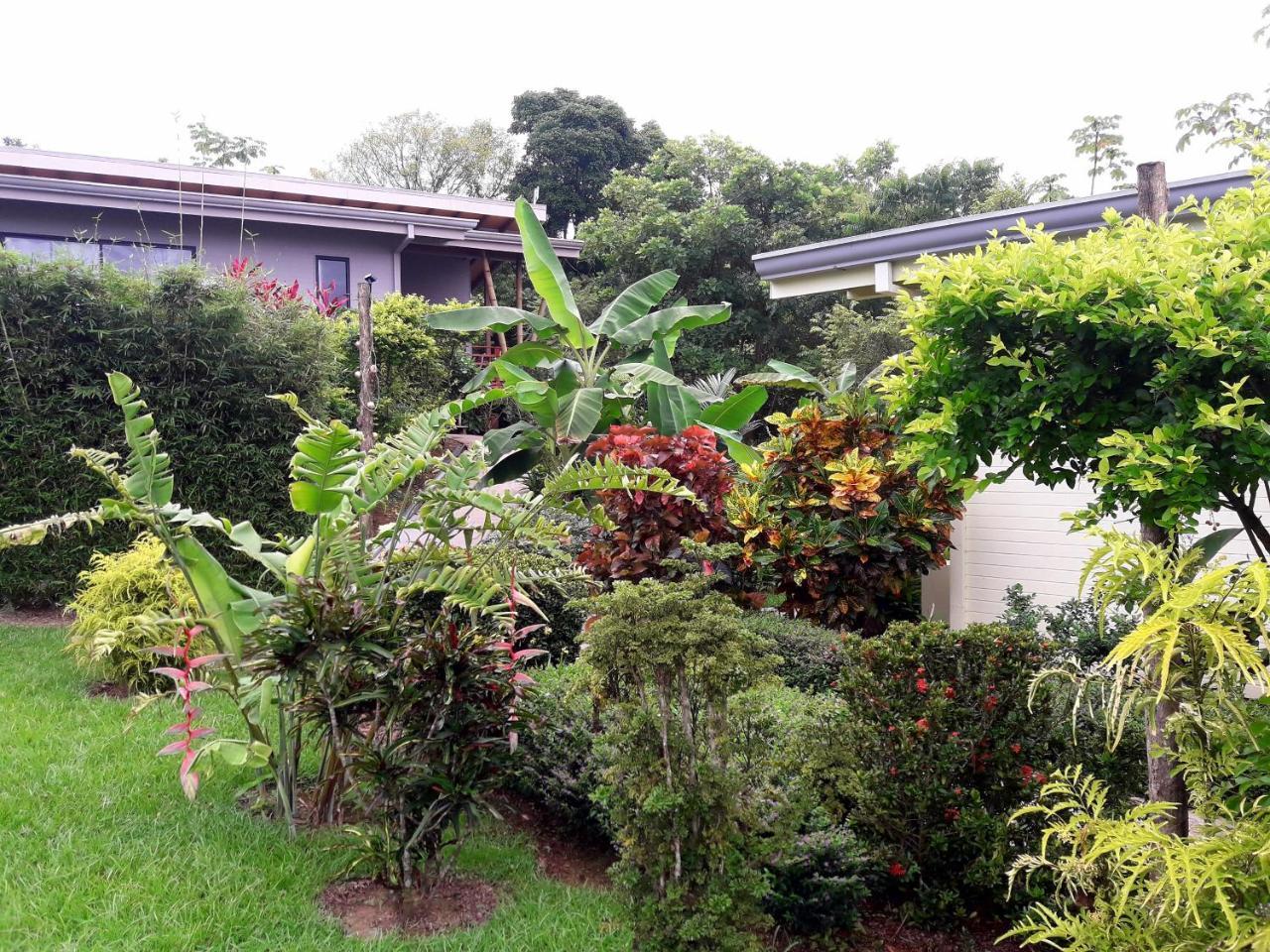 Eden Tica Lodge Uvita Bagian luar foto