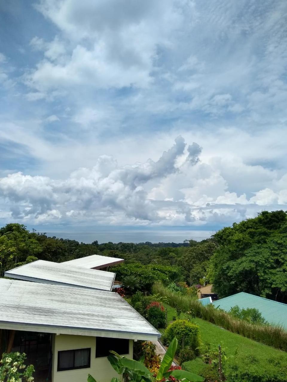 Eden Tica Lodge Uvita Bagian luar foto
